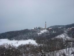 Resize of IMG_2292.jpg